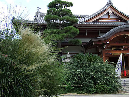東光院 萩の寺の境内