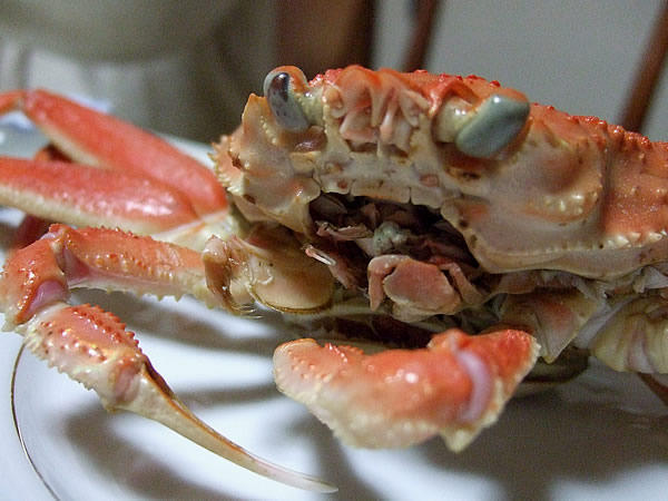 輪島からの蟹
