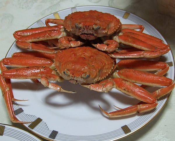 輪島からの蟹
